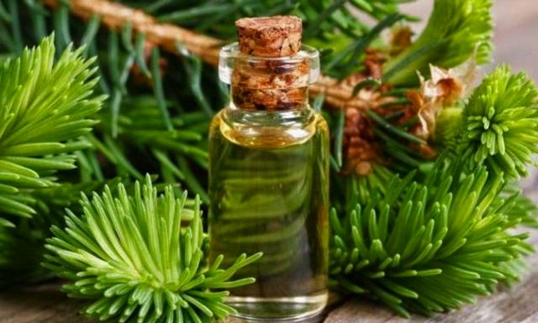 Crisp Cedarwood Oil For Hair View for Desktop Crisp Cedarwood Oil For Hair View for Desktop